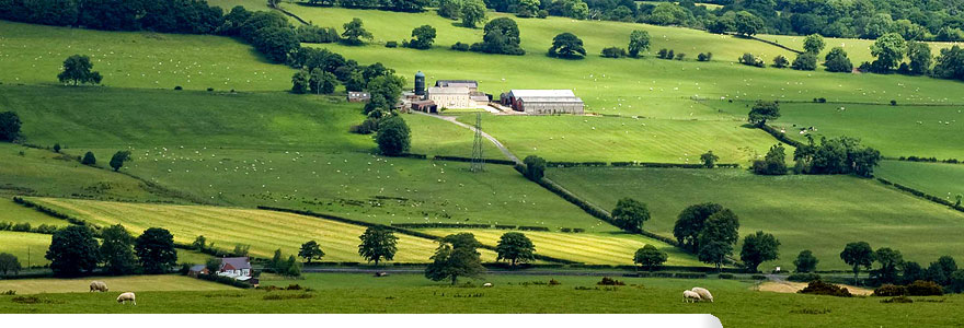 New Hall Farm Cottage